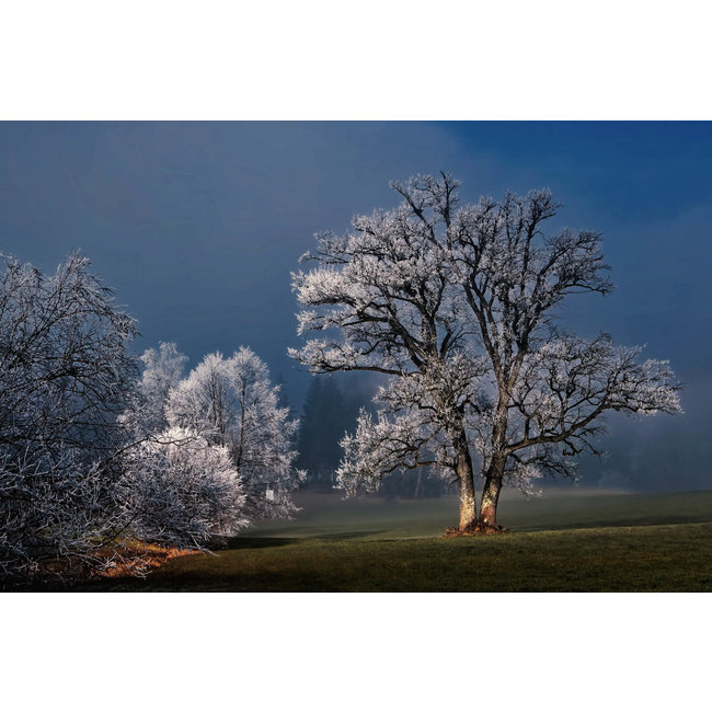 Wandkraft Winter Wonders 007