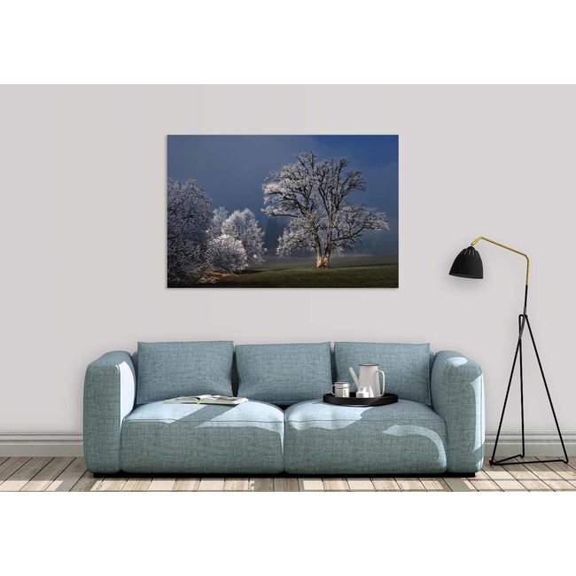 Wandkraft Winter Wonders 007
