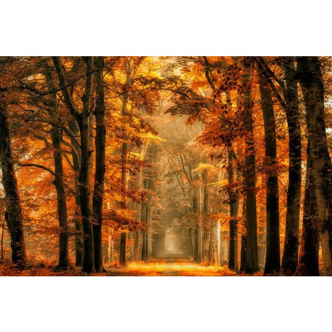 Wandkraft Art of Nature 033 - Limited edition