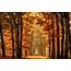 Wandkraft Art of Nature 033 - Limited edition