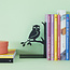 Balvi Boekensteun Uil