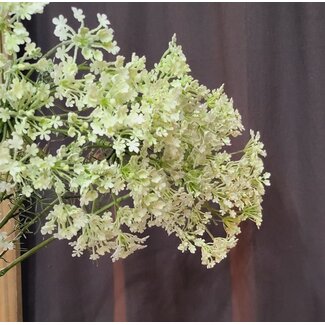 Countryfield Heracleum sphondylium wit kunsttak