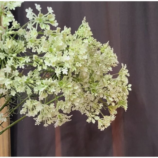 Countryfield Heracleum sphondylium wit kunsttak - Countryfield