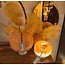Light en Living Windlicht ELIA glas perzik