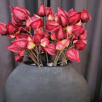 Countryfield Kunsttak Physalis rood