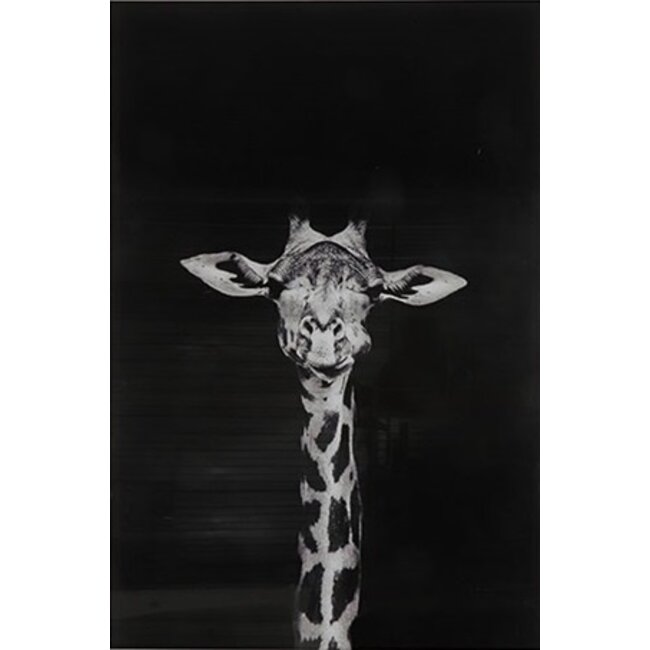 Countryfield Schilderij Makela zwart rechthoek - Glaskunst Giraffe