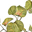 Pure Kunsttak blad gemêleerd 77 cm groen