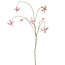 Pure Kunsttak Martagon Lelie 100 cm roze