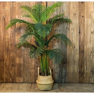 Countryfield Kunstplant Areca L groen 160 cm