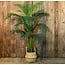Countryfield Kunstplant Areca L groen 160 cm