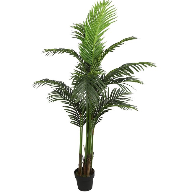 Countryfield Kunstplant Areca L groen 160 cm