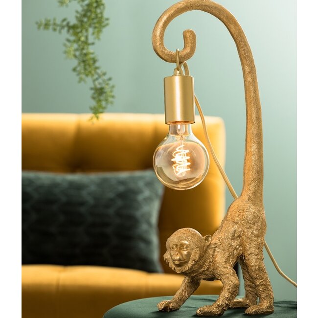 Light en Living Fitting goud