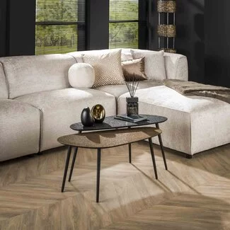 WoonStijl Salontafel set van 2 niervormig metallic zwart en antiek brass