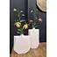 Light en Living Vaas deco 21x7,5x41 cm MAKAHA crème