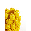 Light en Living Vaas deco 23,5x23x32,5 cm BELLPEPPER keramiek glanzend geel