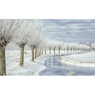 Wandkraft Winter in Holland