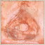 Wandkraft Art Crafts 046 - Wandkraft Kunstwerk op Forex met Lijst
