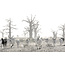 Wandkraft At the Farm 004