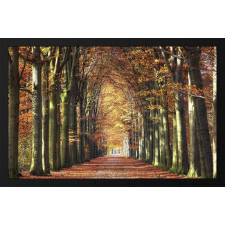 Wandkraft Autumn