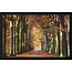 Wandkraft Autumn