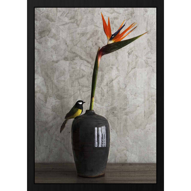 Wandkraft Still Life Bird
