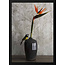 Wandkraft Still Life Bird