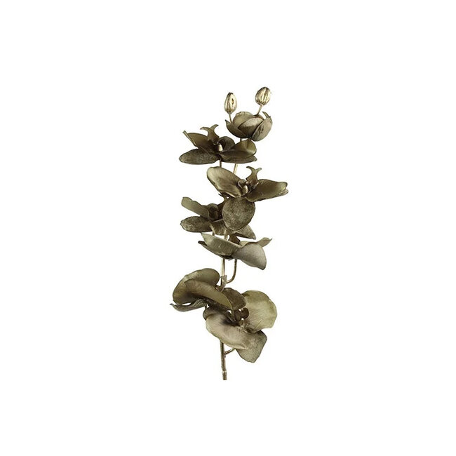 Countryfield Kunsttak Phalaenopsis bruin