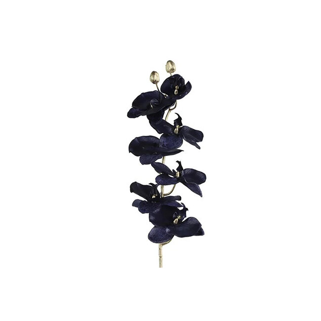 Countryfield Kunsttak Phalaenopsis donkerblauw