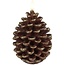 Countryfield Dennenappelkaars LED Lyon L bruin