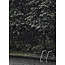 Wandkraft Swimming Pool in Rainforest