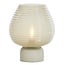 Light en Living Tafellamp LED Ø22x27 cm ALENNA glas groen grijs