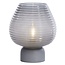 Light en Living Tafellamp LED Ø22x27 cm ALENNA glas grijs