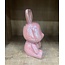 Countryfield Spaarhaas Pascal L roze