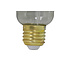 Light en Living LED globe Ø9,5x14 cm LIGHT 4W amber E27 dimbaar