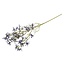 Countryfield Kunsttak Magnolia stellata S blauw