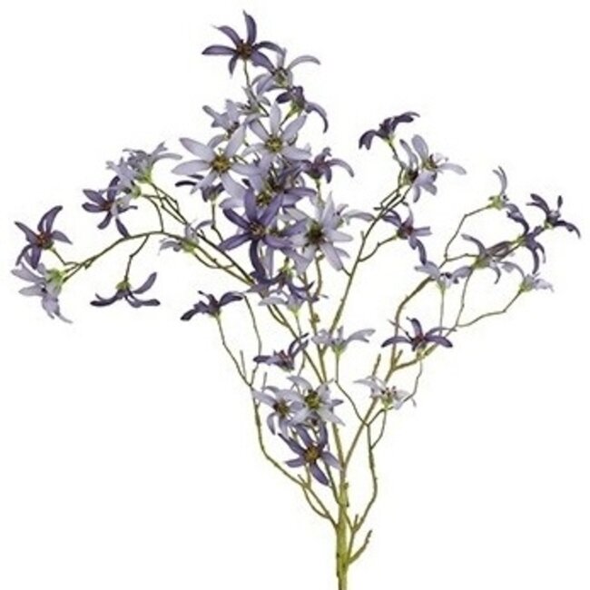 Countryfield Kunsttak Magnolia stellata S blauw