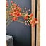 Countryfield Kunsttak Prunus Mume S rood