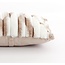 Light en Living Kussen 60x30 cm MABLY velvet crème-bruin
