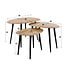 WoonStijl Salontafel set van 3 Acacia organisch