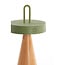 Light en Living Tafellamp LED Ø13x28,5 cm ANKENTA olijf groen+hout naturel