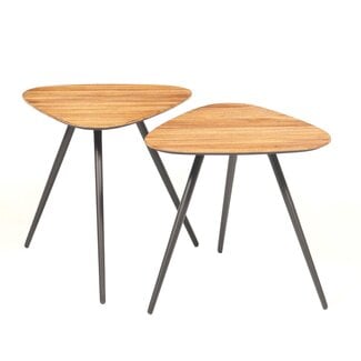PTMD Salontafel set Rupert Naturel recycled teak