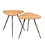 PTMD Salontafel set Rupert Naturel recycled teak