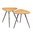 PTMD Salontafel set Rupert Naturel recycled teak