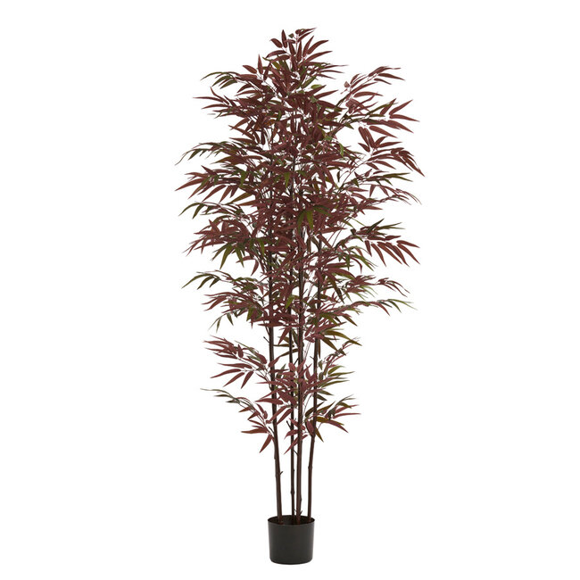 Light en Living Ornament in pot 70x60x180 cm BAMBOO naturel+groen/rood