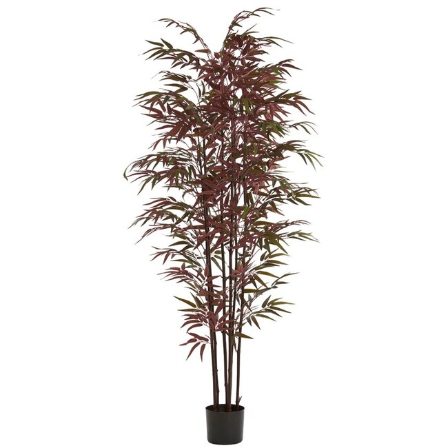 Light en Living Ornament in pot 70x60x180 cm BAMBOO naturel+groen/rood