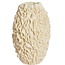 Light en Living Vaas deco Ø26x39,5 cm AGELLO crème