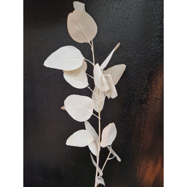 PTMD Kunsttak Leaves Plant eucalyptus creme