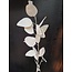 PTMD Kunsttak Leaves Plant eucalyptus creme