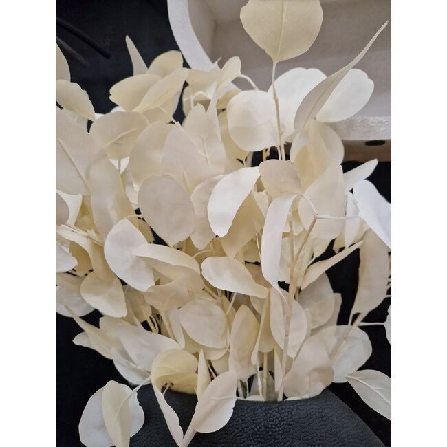 PTMD Kunsttak Leaves Plant eucalyptus creme