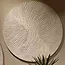 PTMD Wandornament Wiktor Wit MDF swirl carved L - Ø 120 cm